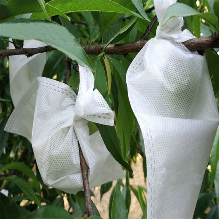 Tas Perlindungan Buah Non Woven